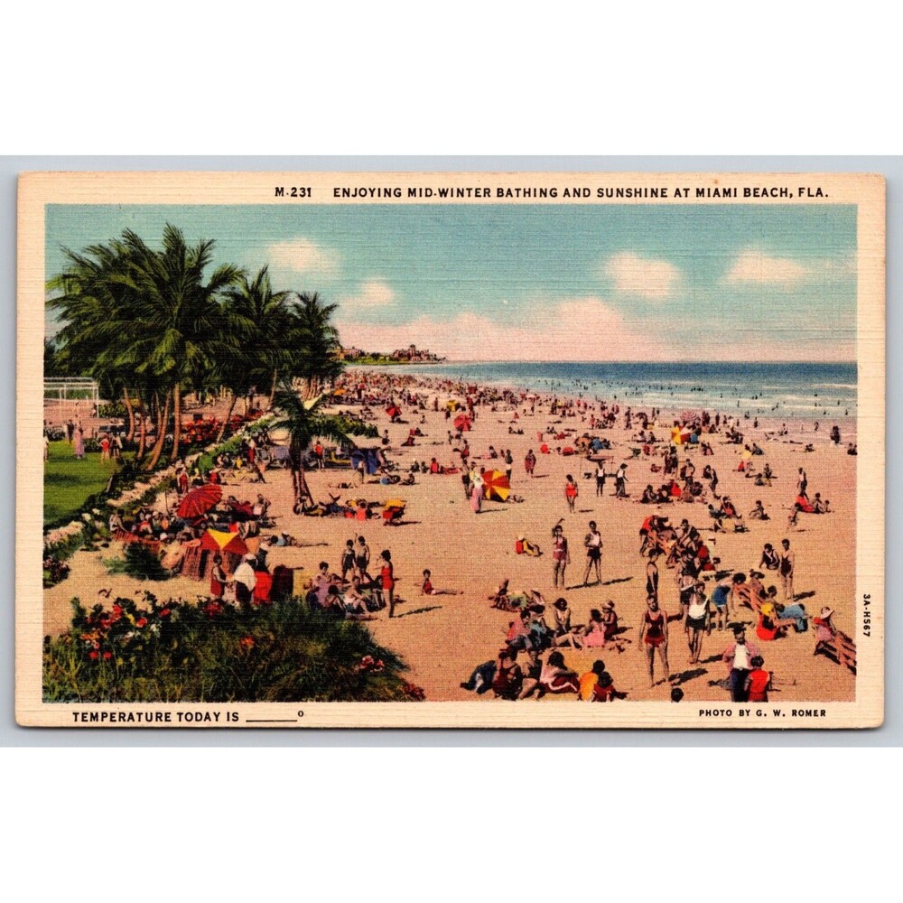 Vtg 1930s Miami Beach Florida Postcard Mid-Winter Bathing Sunshine Curt Teich FL
